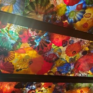 Meet your Posher, Abigail